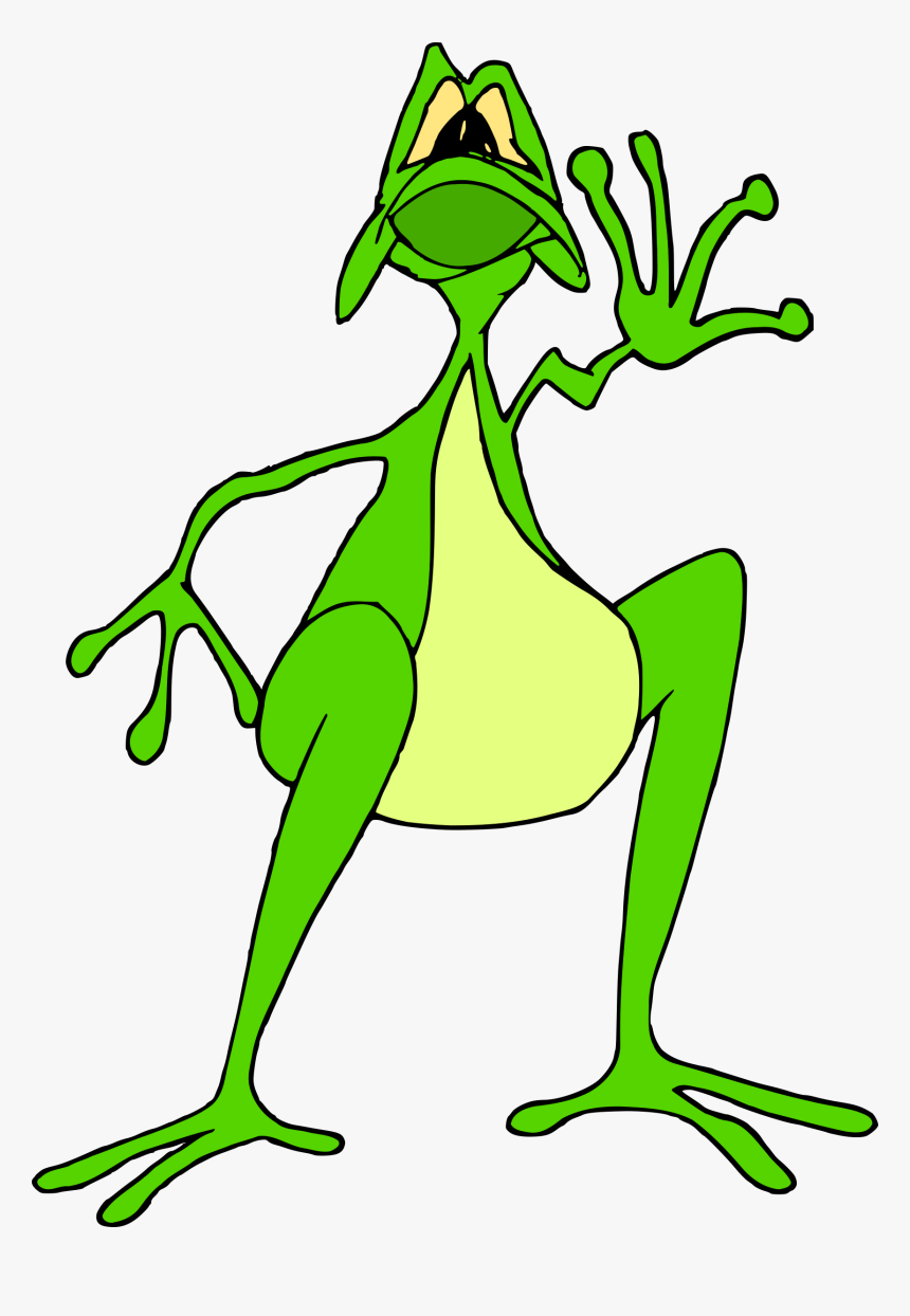 Tree Frog Toad Animal Horned Frog - Clipart Of Animal With Stop Sign, HD Png Download