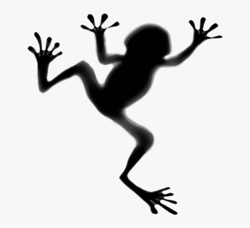 Toad Tree Frog Tattoo Panamanian Golden Frog - Shadow Of A Frog, HD Png Download