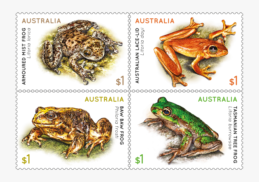 Frogs Stamps Australia, HD Png Download