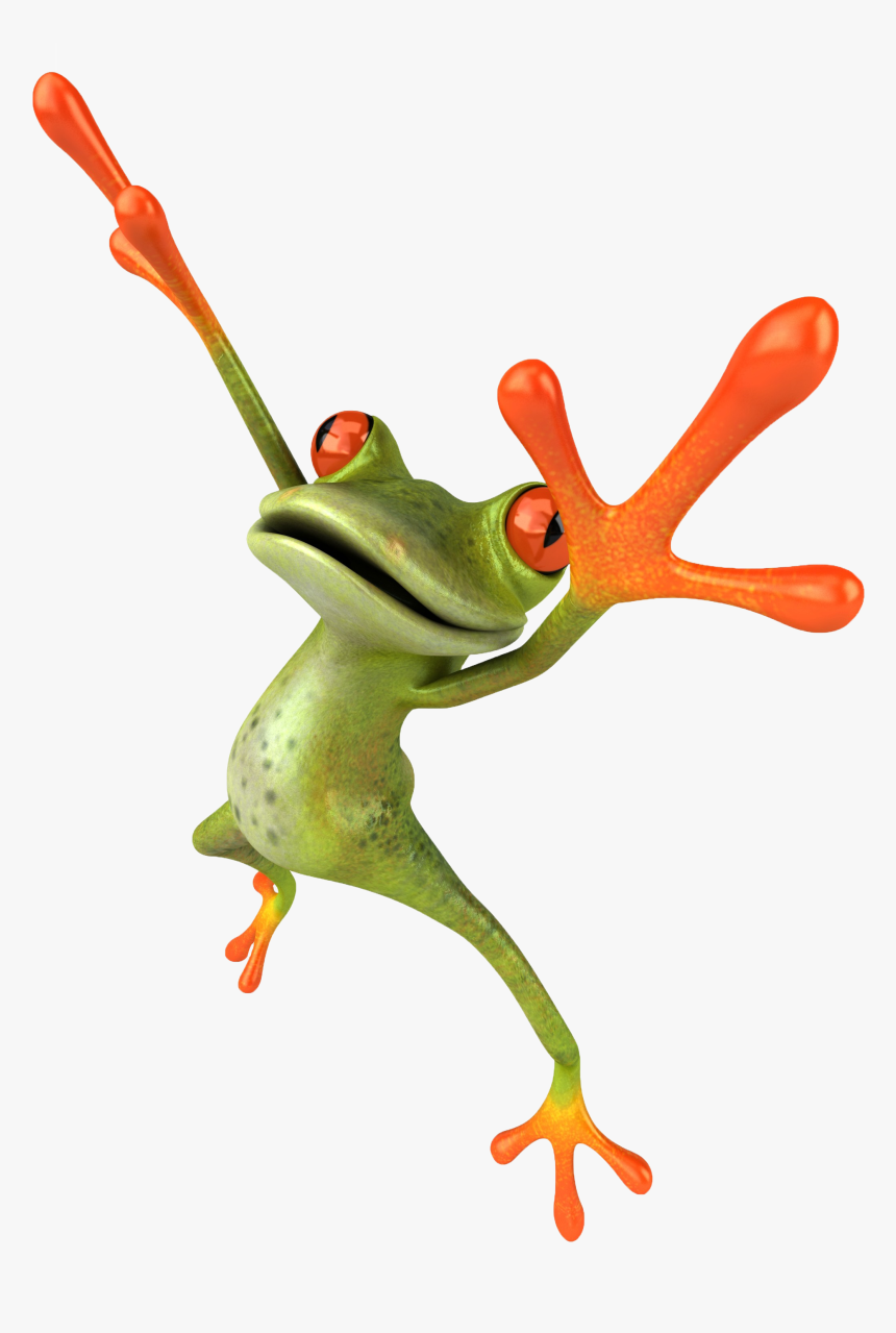 Frog Jumping At You, HD Png Download