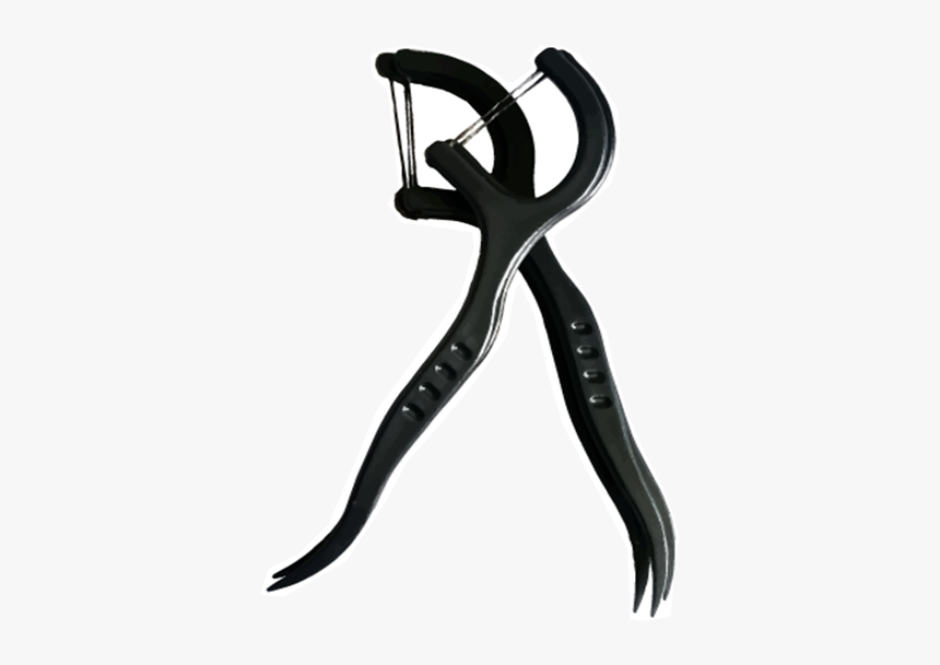 Nipper, HD Png Download