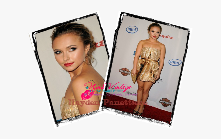 Hayden-crush3 - Harley-davidson Motor Company, HD Png Download