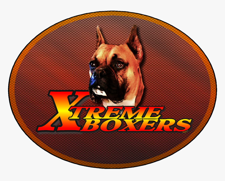 Boxer, HD Png Download