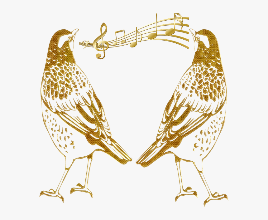 Birds Outline, Birds, Abstract Gold Embossed, Singing - Portable Network Graphics, HD Png Download