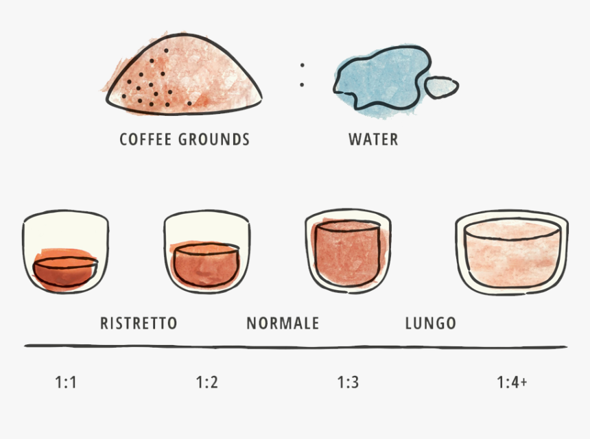 Borrowing Language From Italian Espresso Nomenclature,, HD Png Download