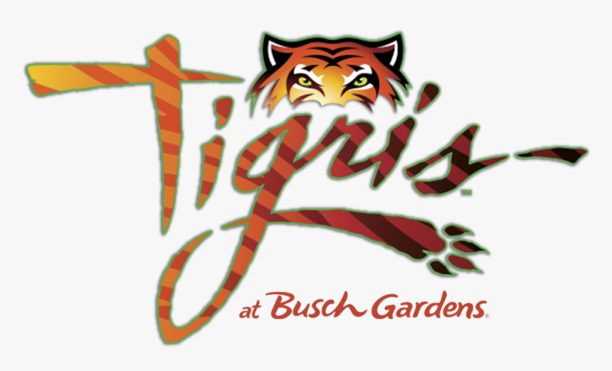Tigris Roller Coaster Busch Gardens, HD Png Download