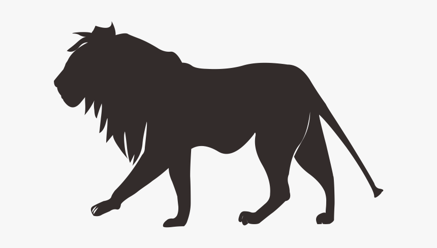 Lion Tiger Cougar Felidae - Lion Country Safari, HD Png Download