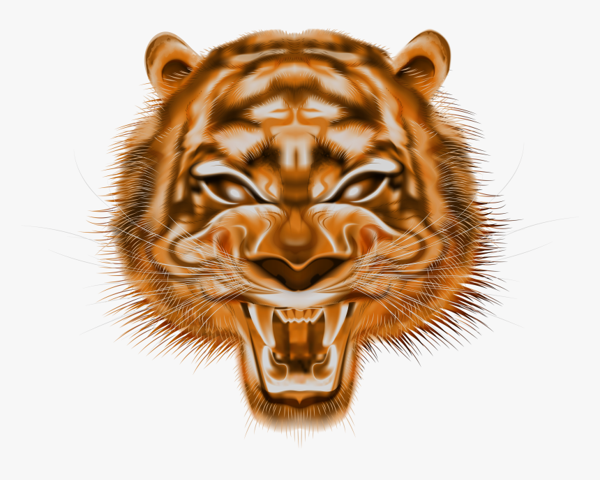 Tiger Clipart High Resolution - Siberian Tiger, HD Png Download