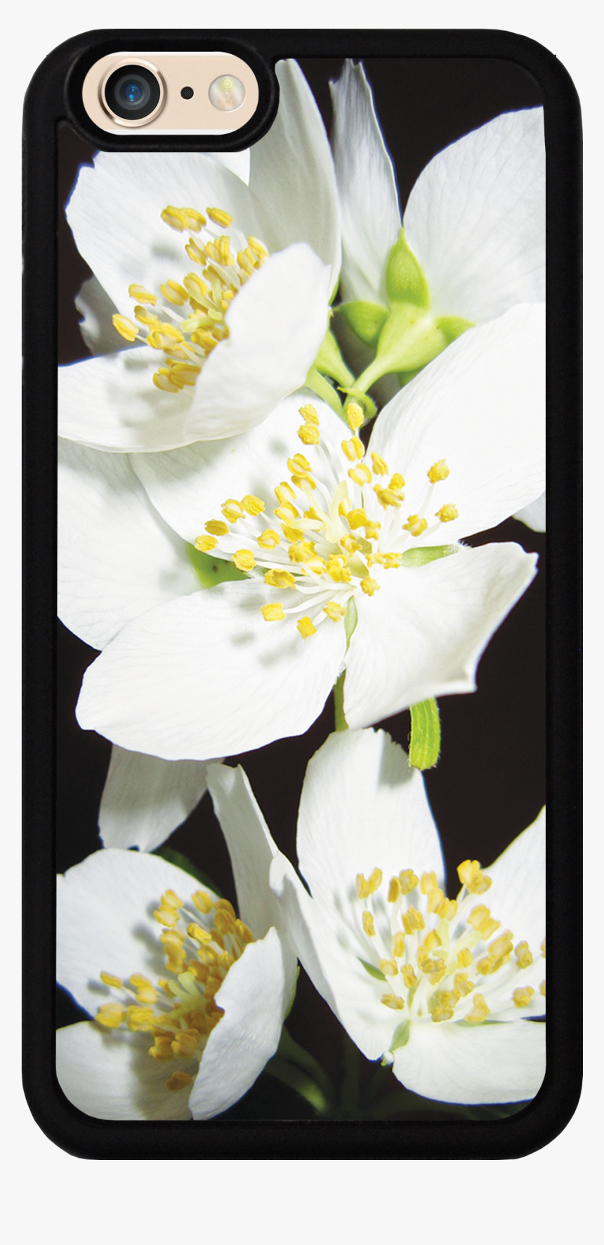 Jasmine Flowers Case - Burnet Rose, HD Png Download