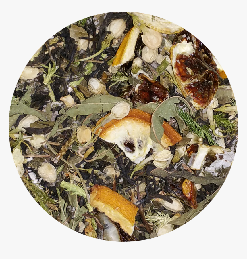 Bolete, HD Png Download