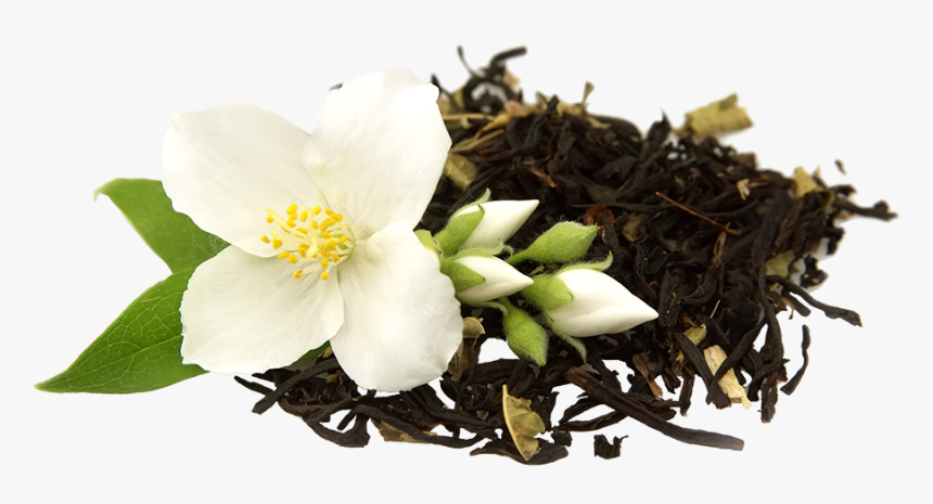 Jasmine Milk Tea Flower, HD Png Download