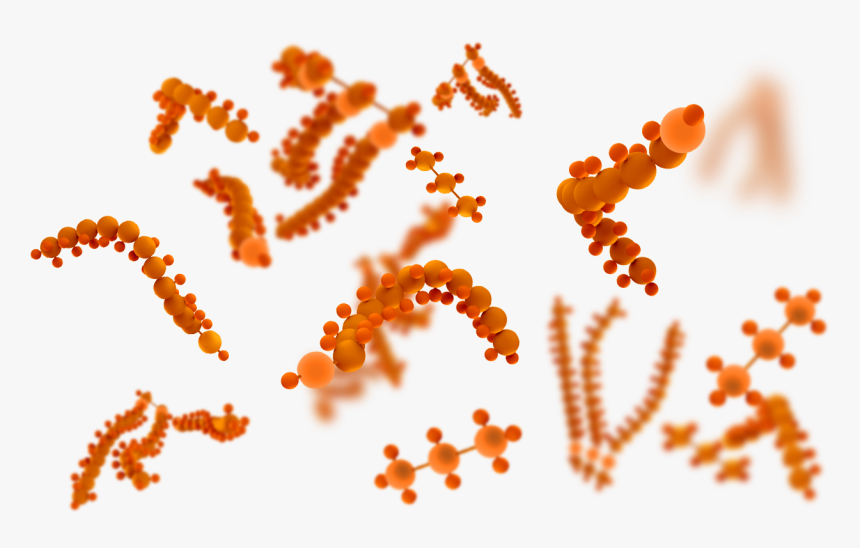 Deficiency Of Pancreatic Lipase Is An Underlying Cause - Illustration, HD Png Download