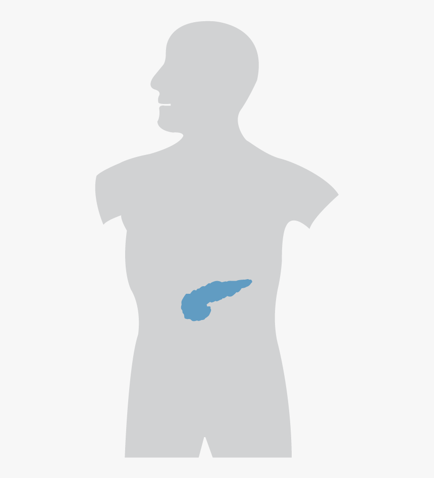 Silhouette, HD Png Download