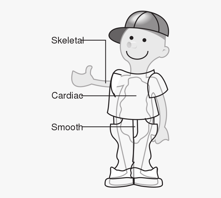 Cartoon - Human Body Clip Art Black And White, HD Png Download