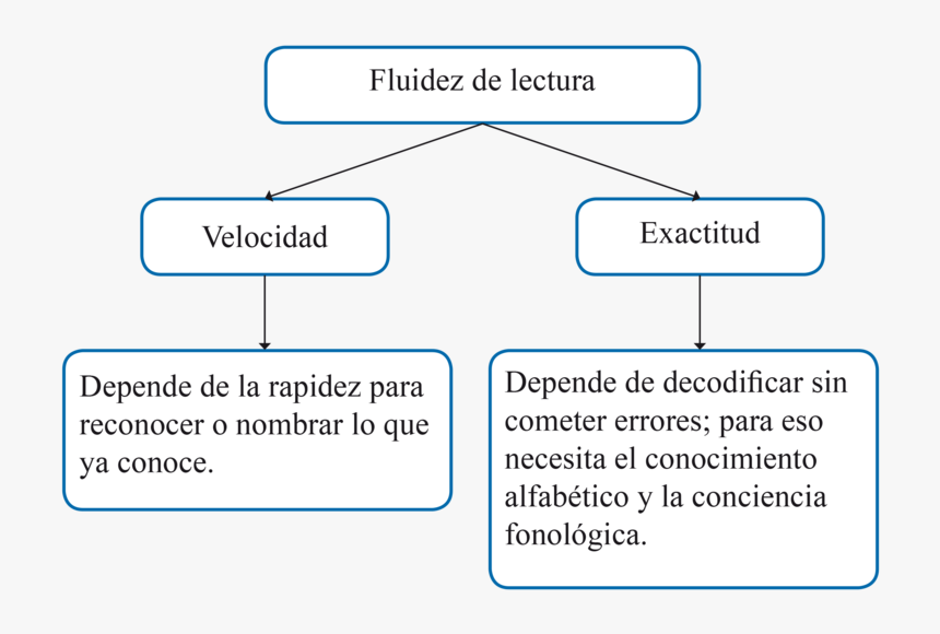 Diagram, HD Png Download