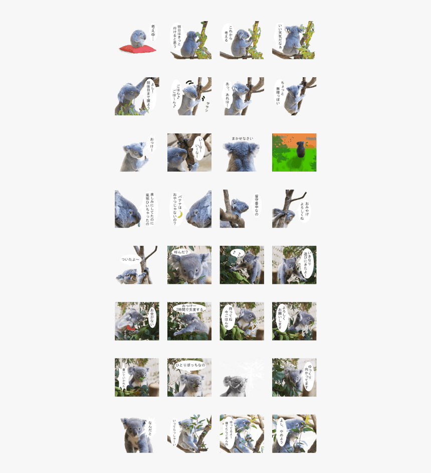 My Own Koala-chan - Collage, HD Png Download