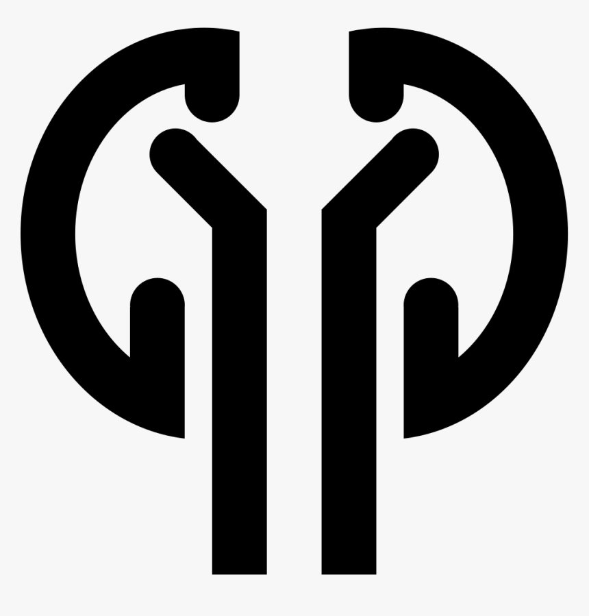 Liver And Gallbladder Spleen Pancreas Kidney - Clip Art, HD Png Download