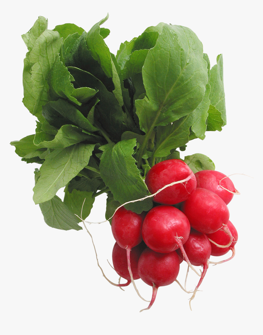 Radish Png - Transparent Radish Clipart, Png Download