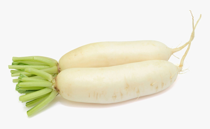 Mooli Png File - Daikon, Transparent Png