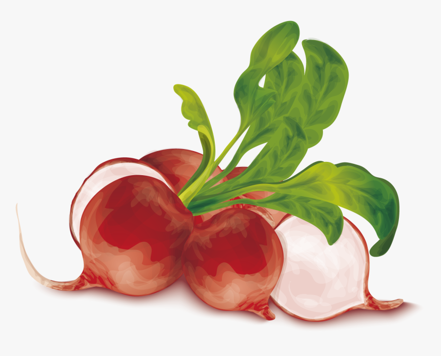 Vegetable Organic Food Vegetarian - Ilustração Cesto De Legumes, HD Png Download