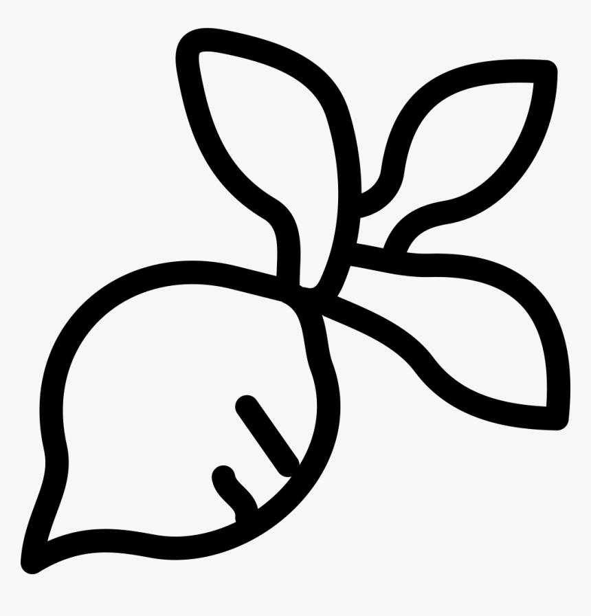Round Radish, HD Png Download