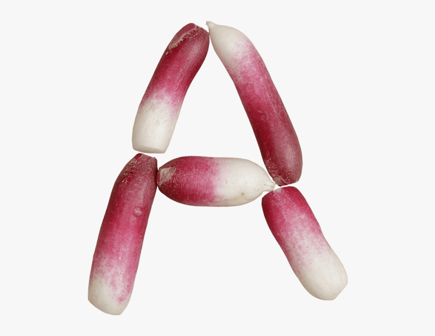 Radish Font - Vegetable, HD Png Download