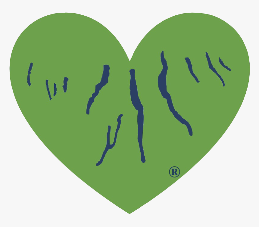 Ghoflx R-tm Transparent - Illustration, HD Png Download