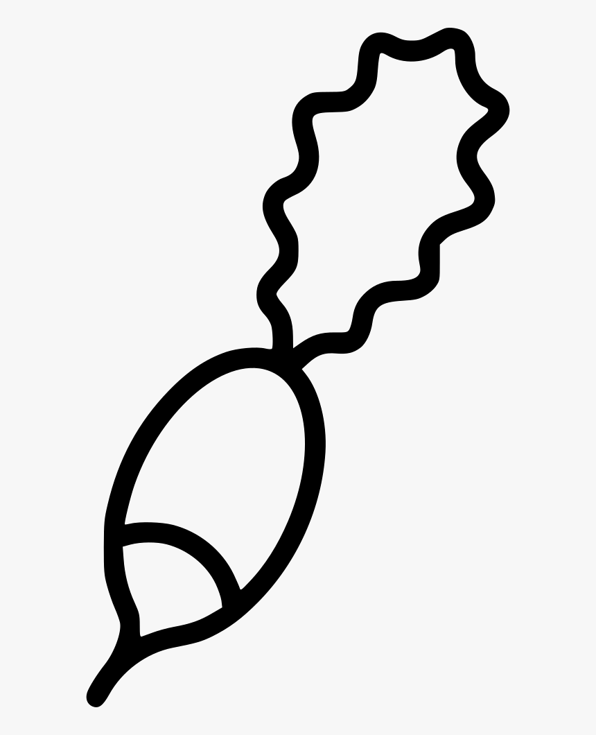 Radish, HD Png Download