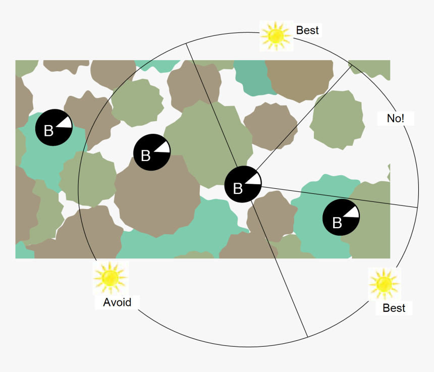 Circle, HD Png Download