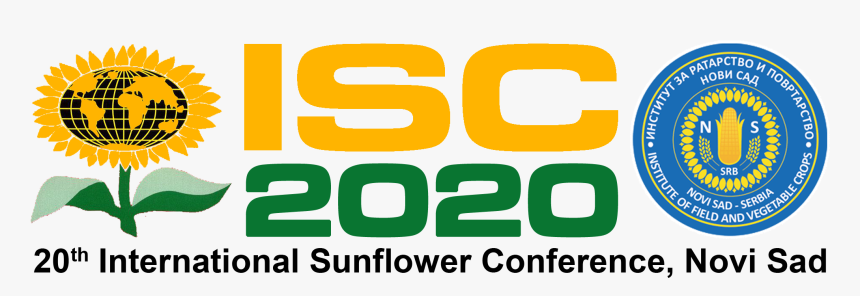 Sunflower, HD Png Download