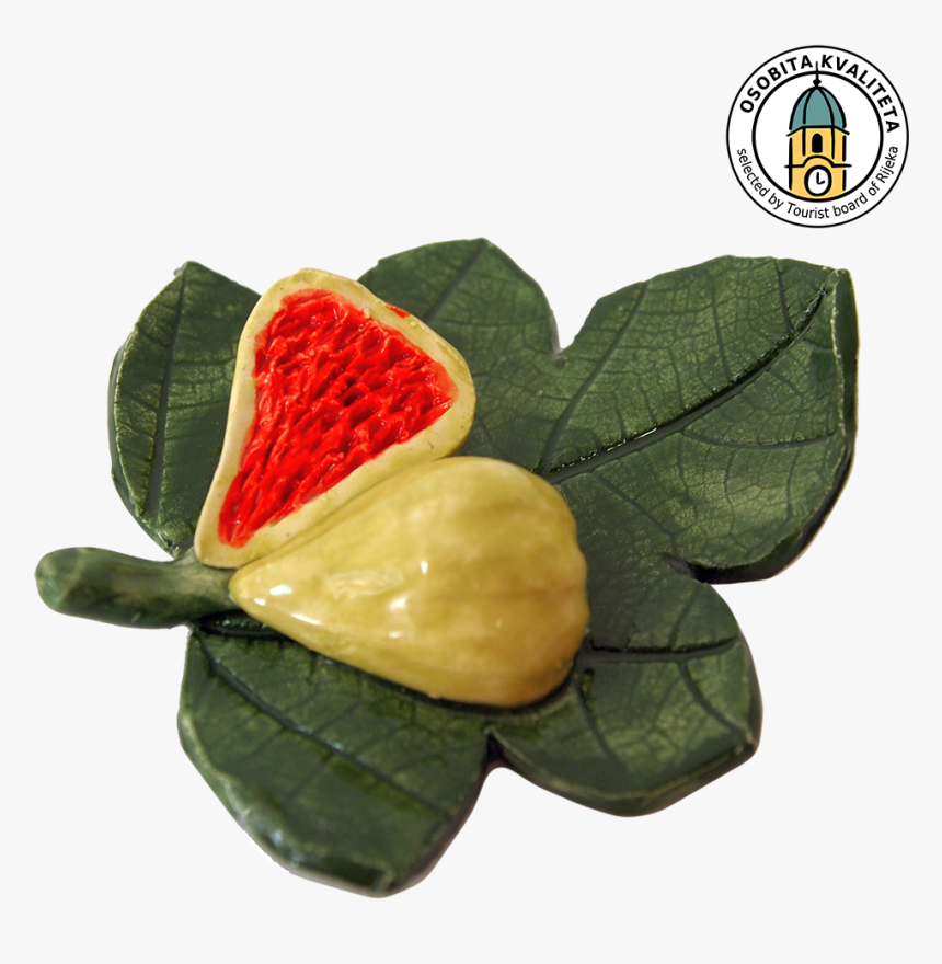 Fig Leaf With A Fig - Magnet Suvenir Rijeka, HD Png Download