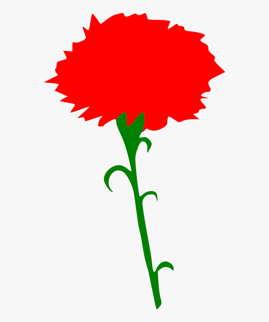 International Working Women S Day - Red Carnation Clipart, HD Png Download