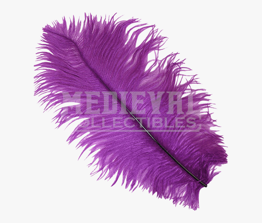 Drawing Feather Ostrich - Transparent Purple Feather, HD Png Download