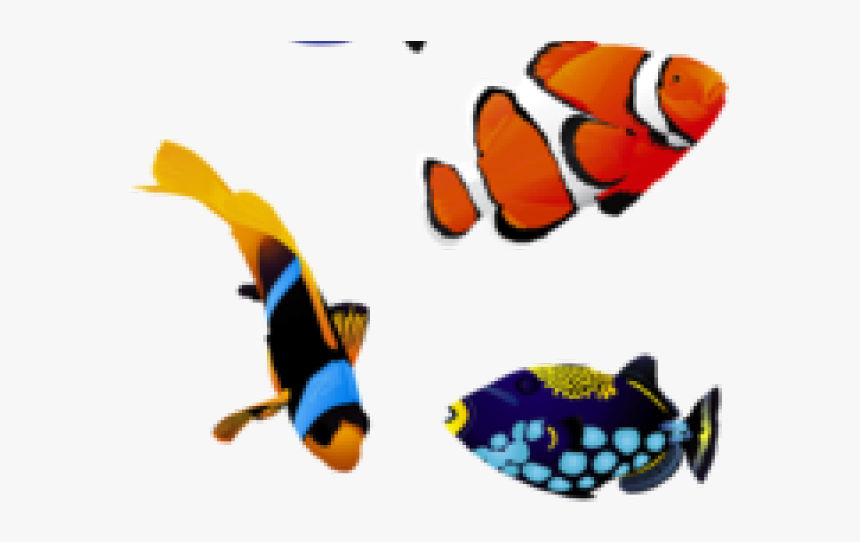 Transparent Colorful Fish Png, Png Download
