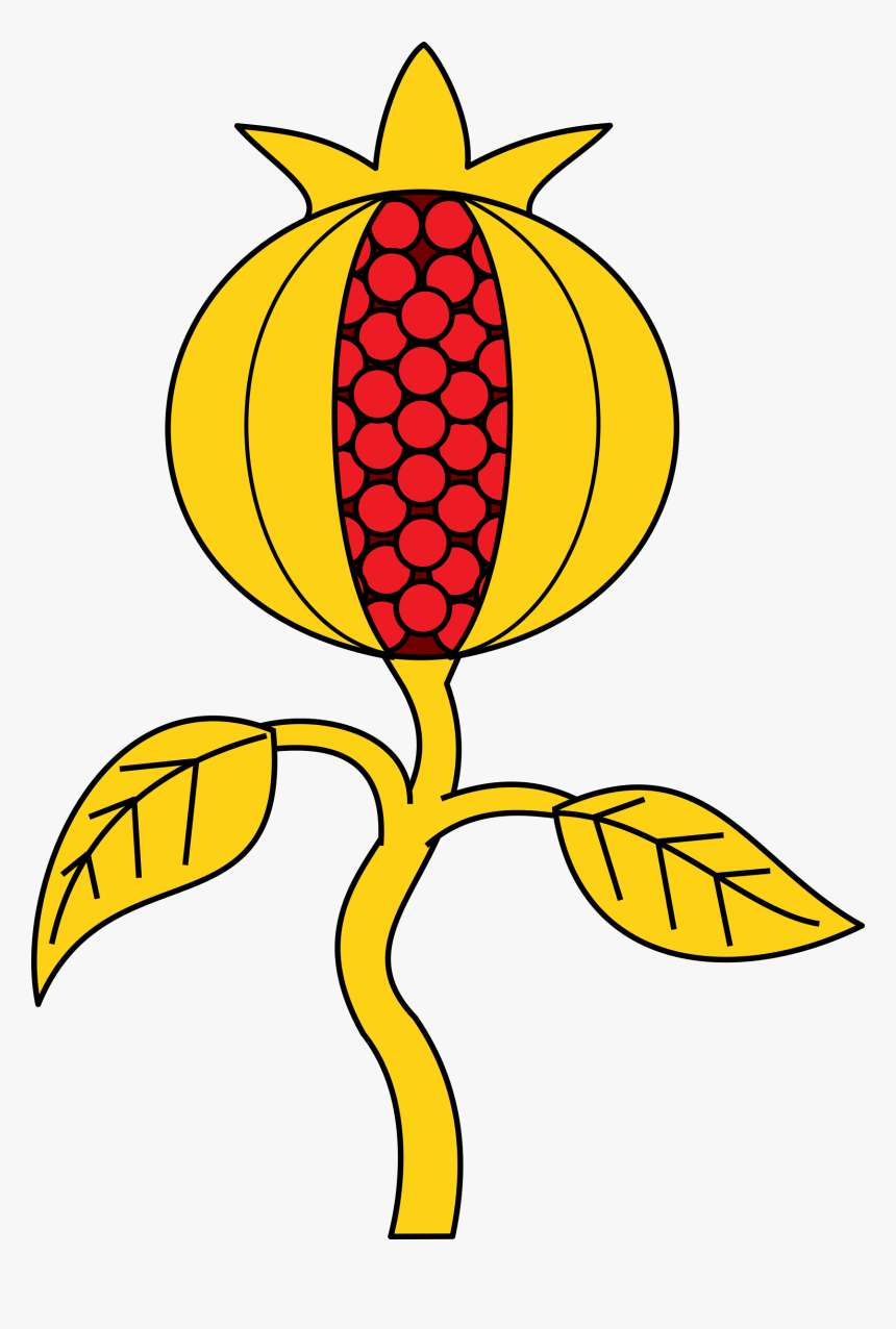 Botany,plant,flower - Pomegranate Coat Of Arms, HD Png Download