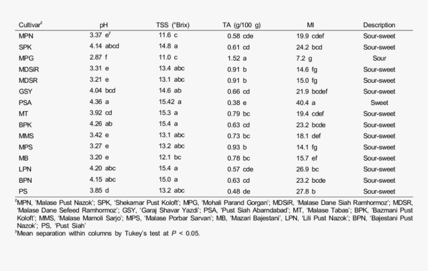 Document, HD Png Download