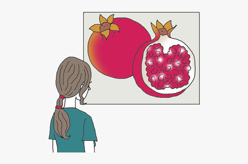 Pomegranate - Illustration, HD Png Download