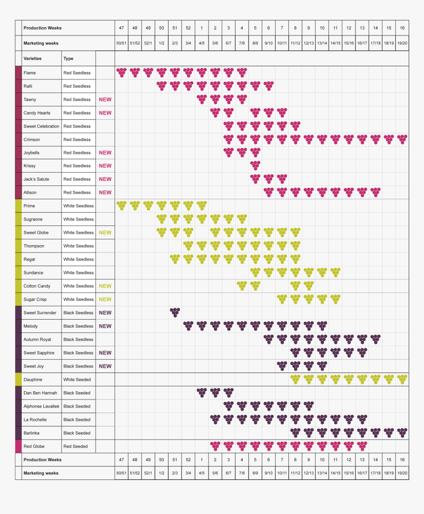 Snapchat, HD Png Download