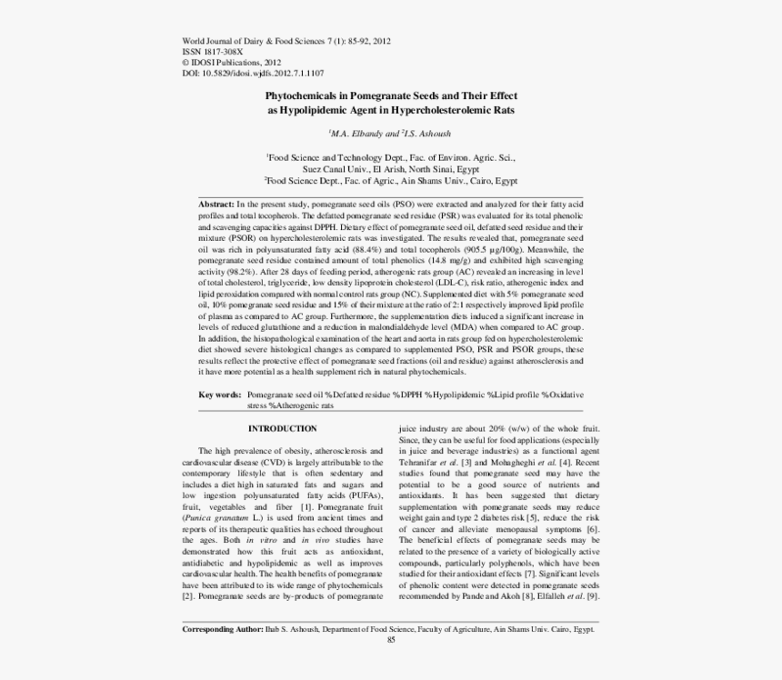 Document, HD Png Download