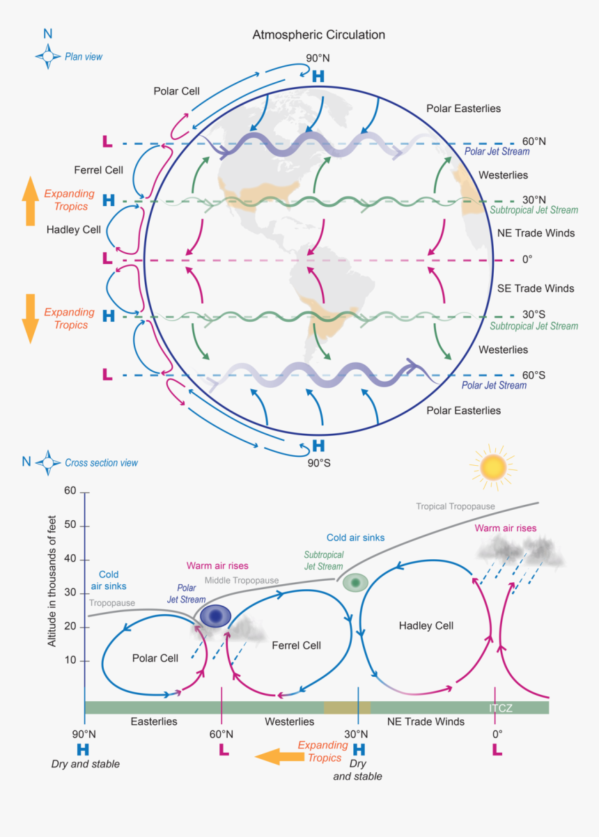 Diagram, HD Png Download