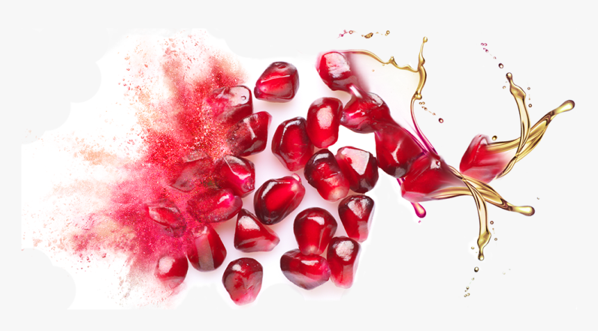 Bulk Supply & Manufacture Of Pomegranate Seed Oil & - Pomegranate Seed Oil Png, Transparent Png