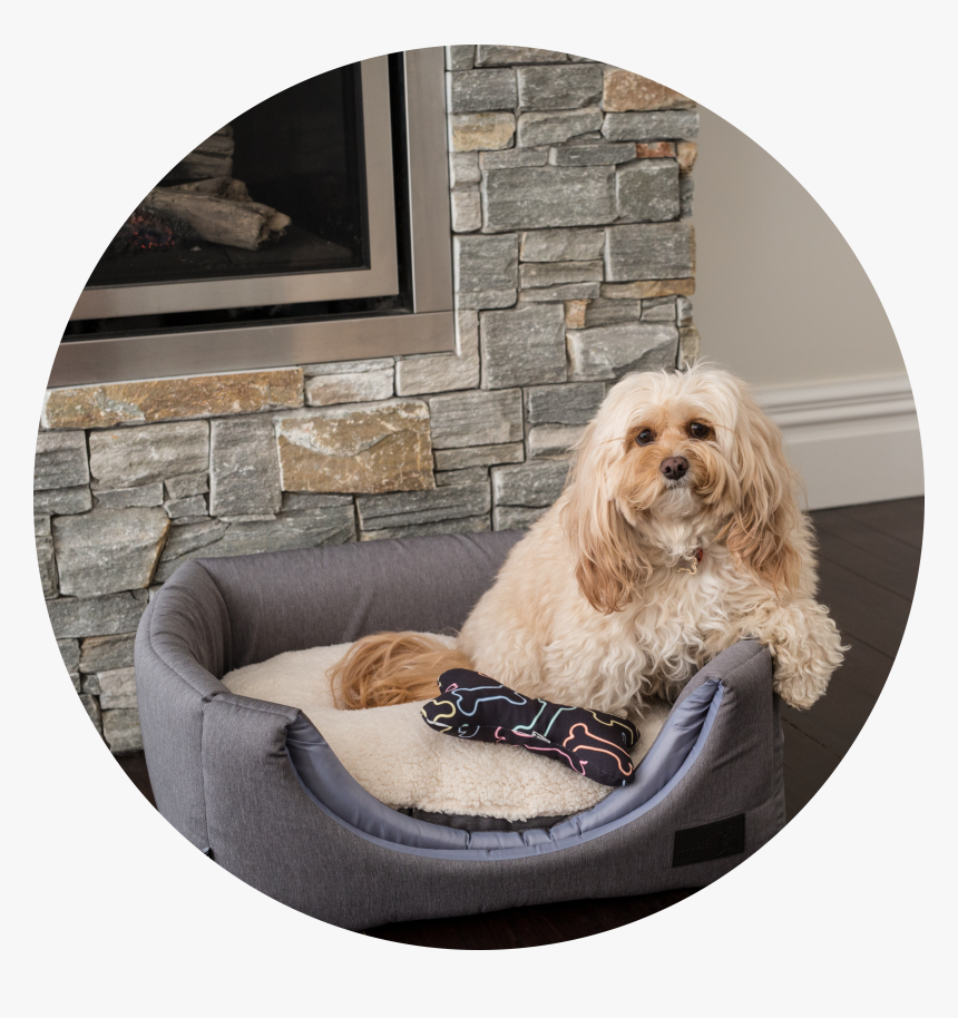 La Doggie Vita Water Resistant Dog Cube New, HD Png Download