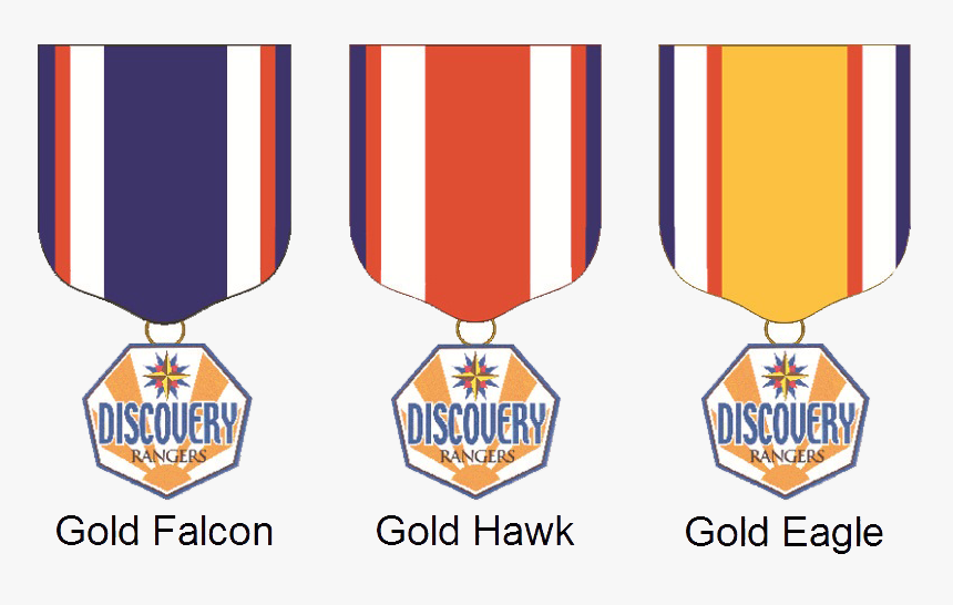 Picture - Discovery Rangers Gold Eagle Medal, HD Png Download