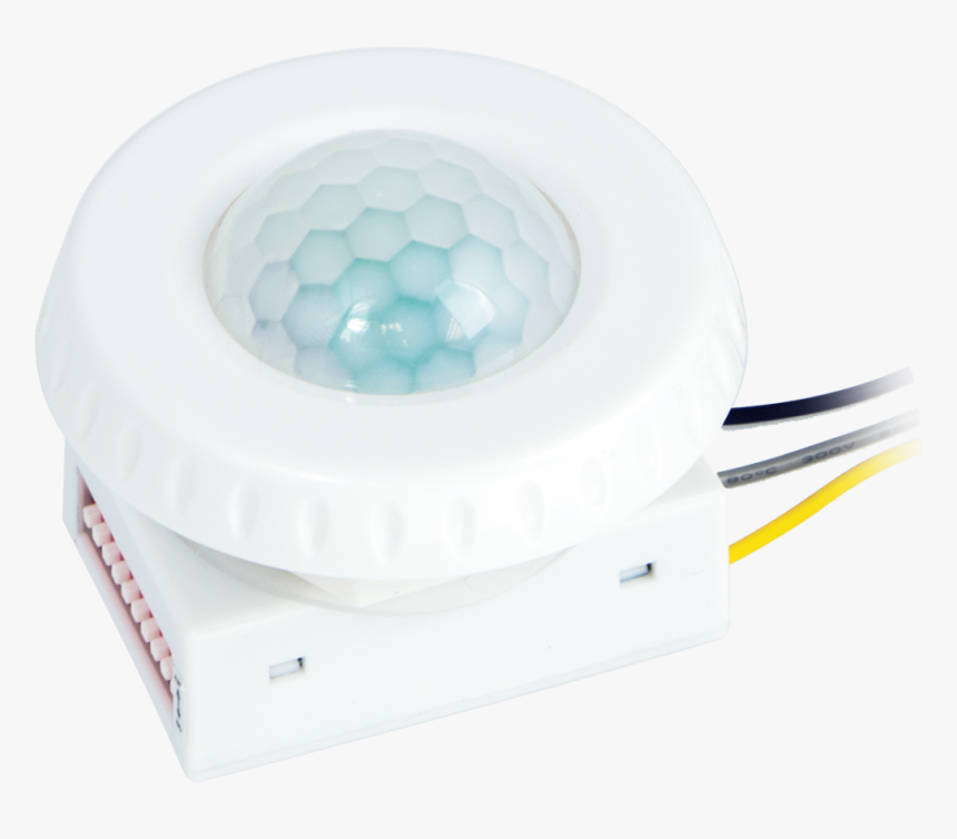 Circle, HD Png Download