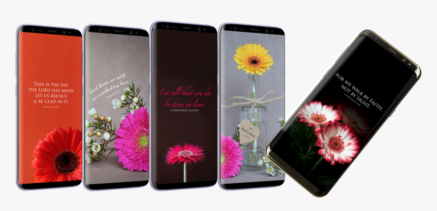 Peony, HD Png Download