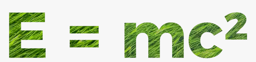 Sweet Grass, HD Png Download