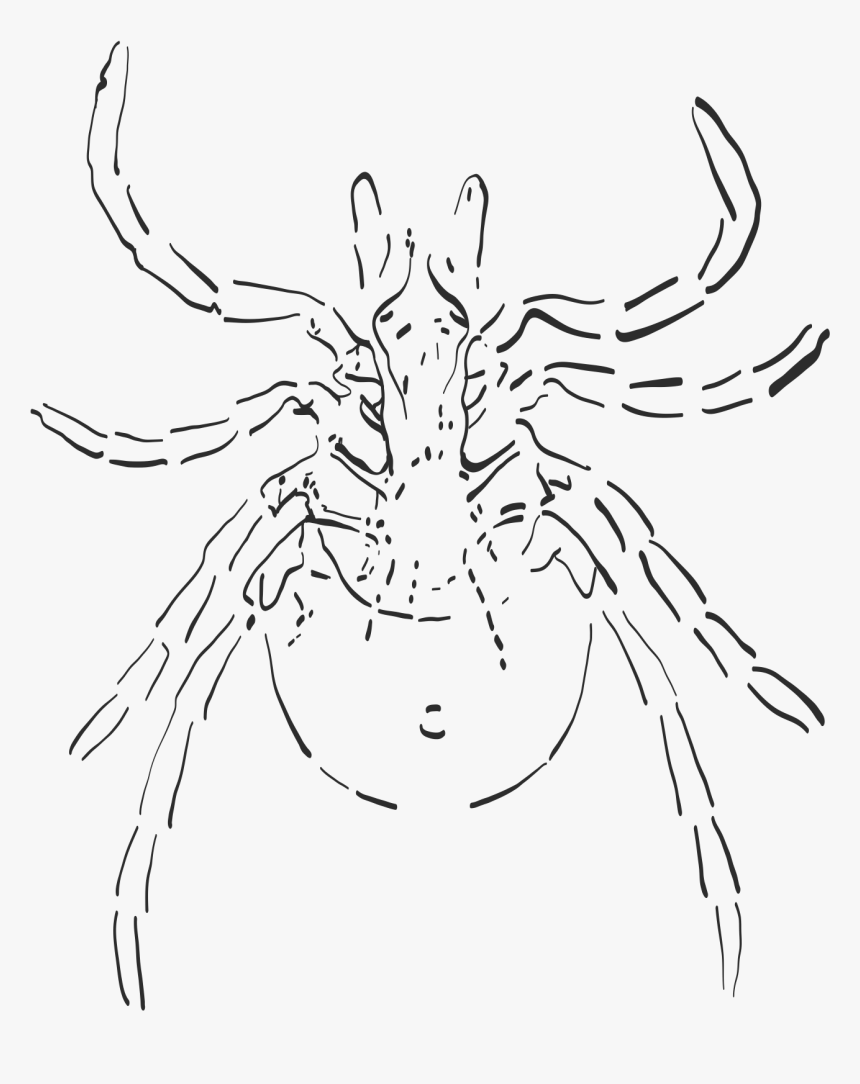 Sketch, HD Png Download