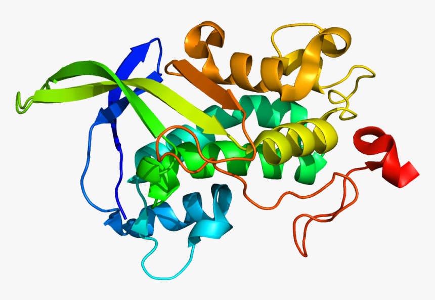Protein Npc1 Pdb 3gkh - Npc1 Gene, HD Png Download