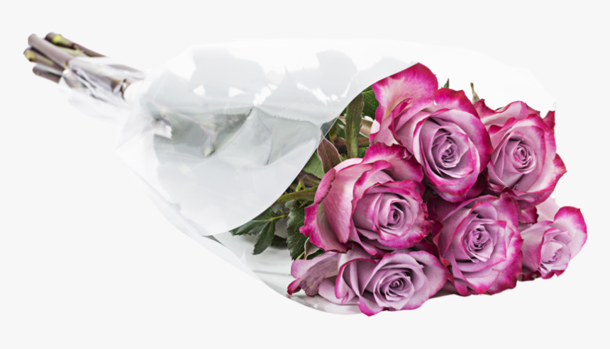 Garden Roses, HD Png Download