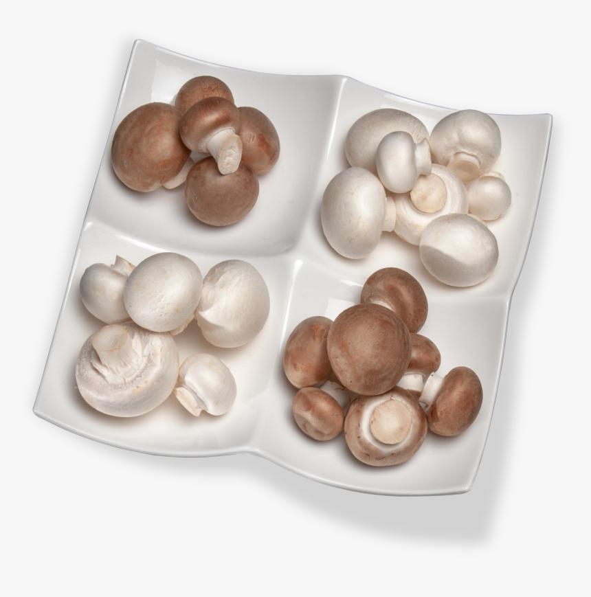 Pearl, HD Png Download